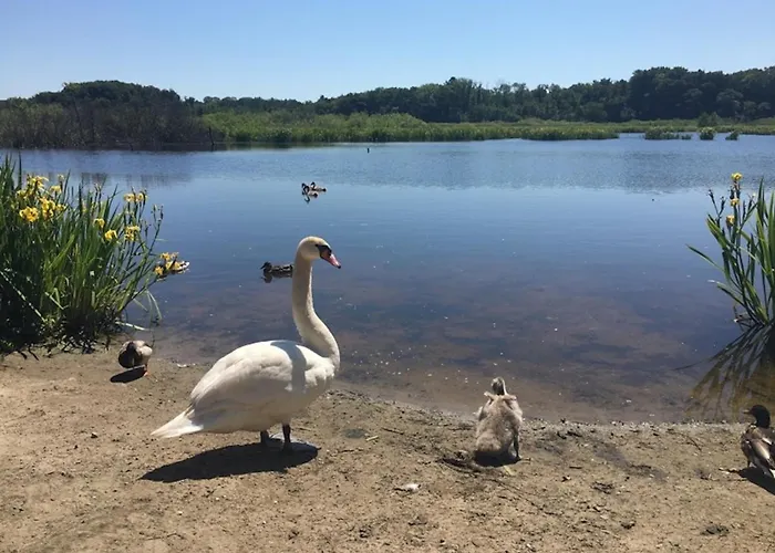 Morski Keja I Podczele Lägenhet *