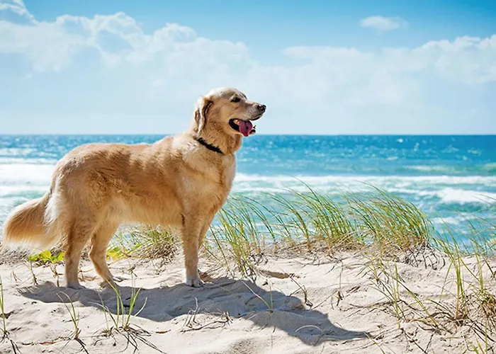 Morski Keja I Podczele *